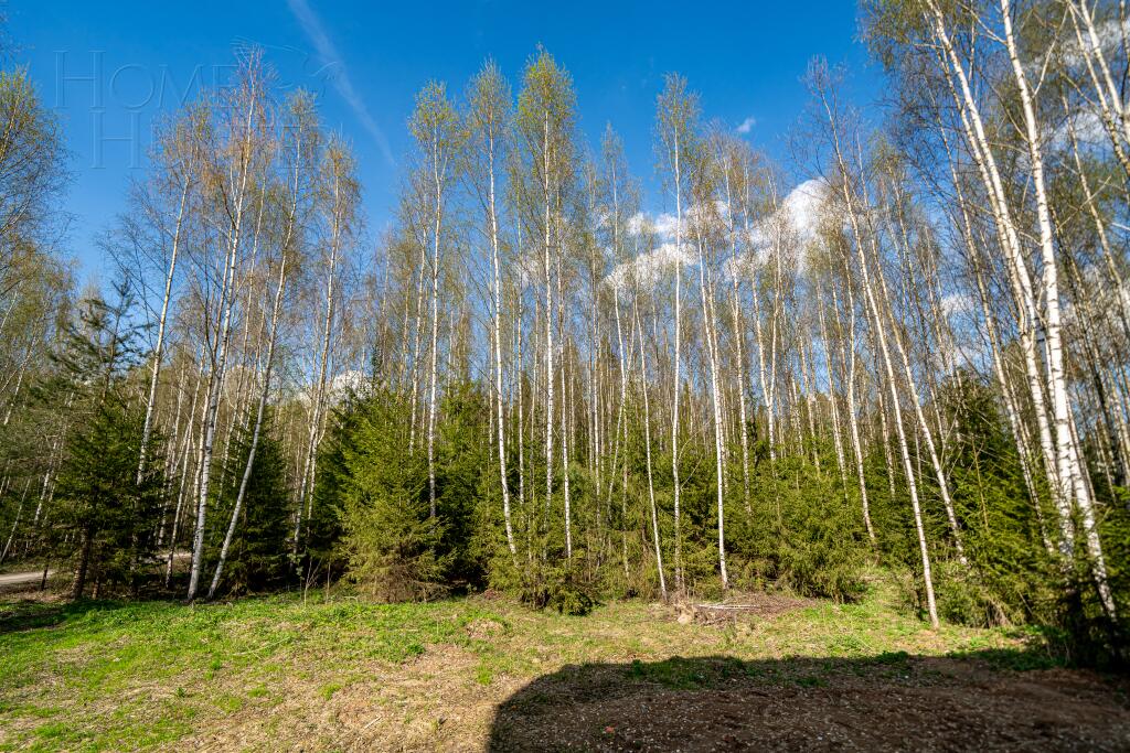 2-этажный коттедж 549 м² без отделки