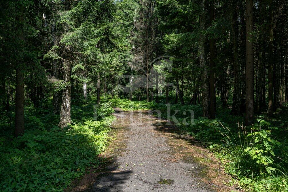 Участок 80 сот. в охраняемом поселке