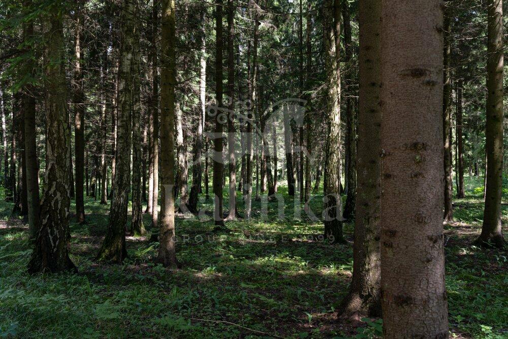 Участок 134 сот. в охраняемом поселке