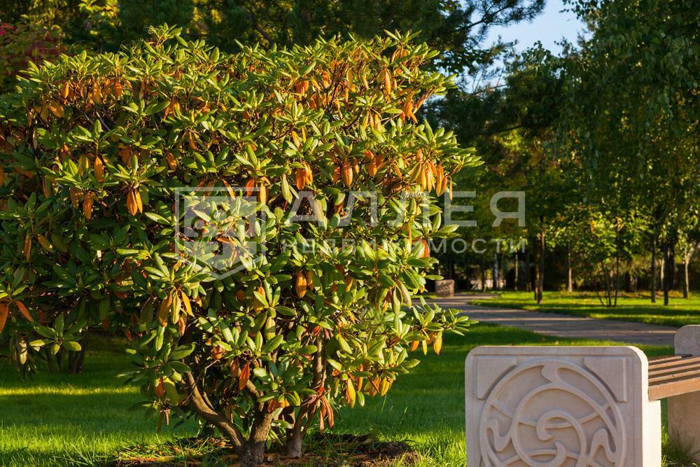 Участок 18 сот. в охраняемом поселке