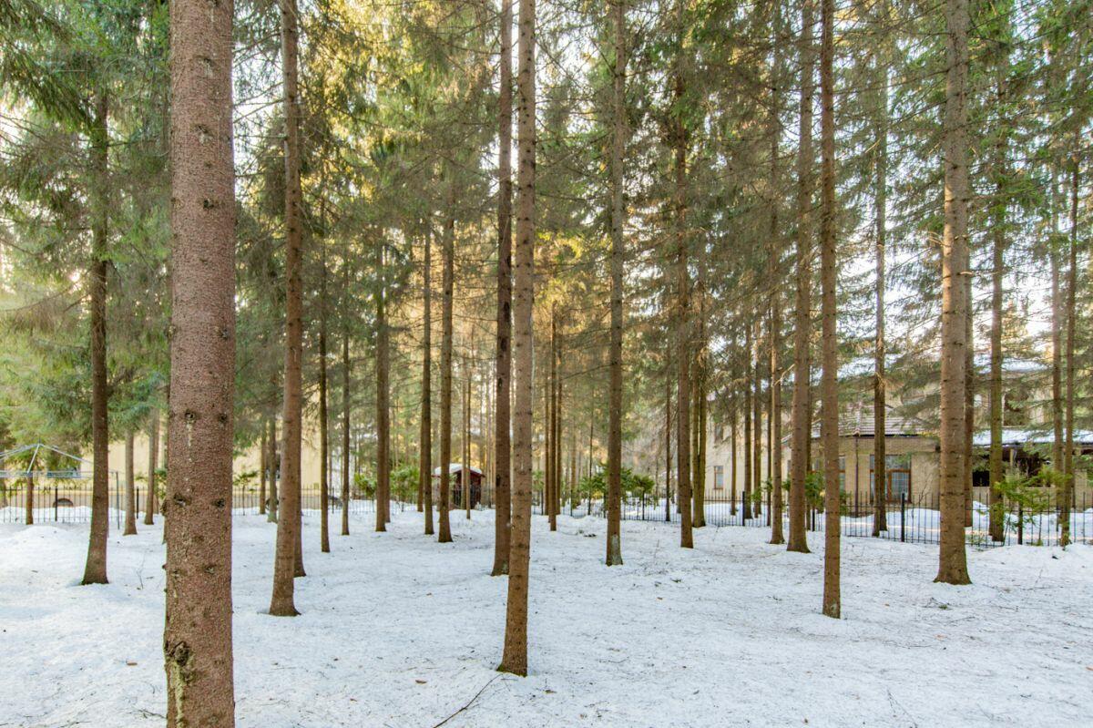 2-этажный коттедж 350 м² с отделкой