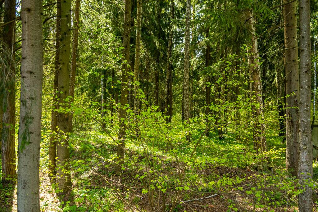 Участок 40 сот. в охраняемом поселке