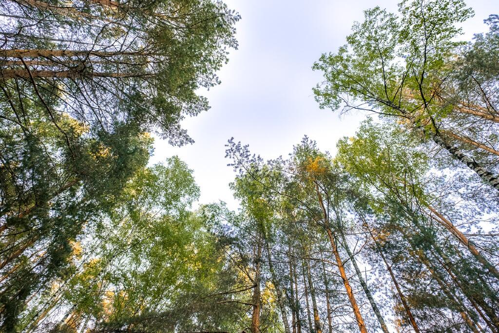 Участок 40 сот. в охраняемом поселке