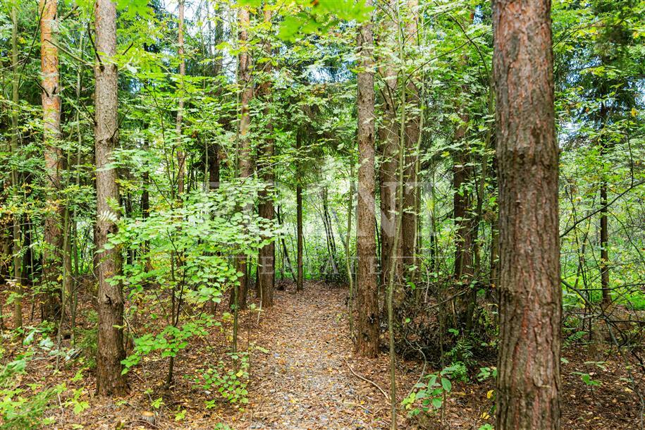 Участок 125 сот.