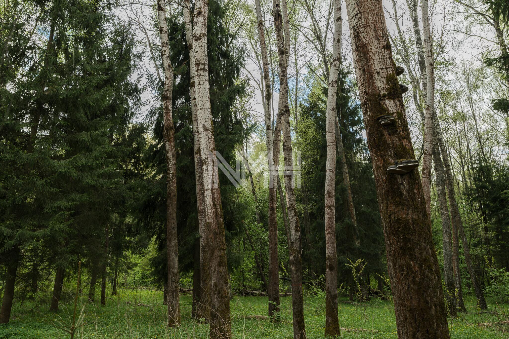 3-этажный коттедж 962 м² с отделкой