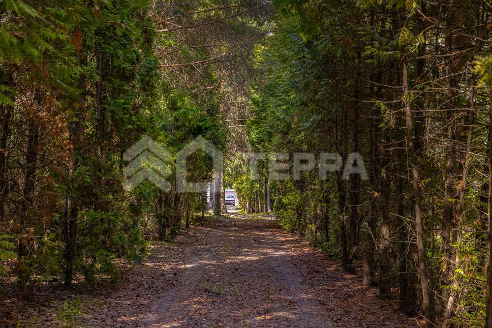 Участок 45 сот. в охраняемом поселке