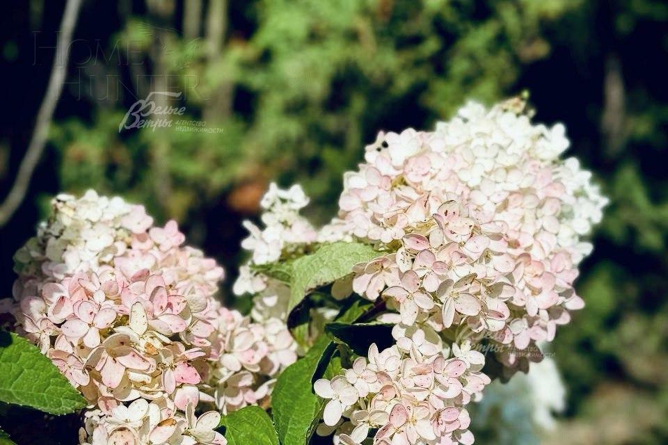 2-этажный коттедж 310 м² без отделки