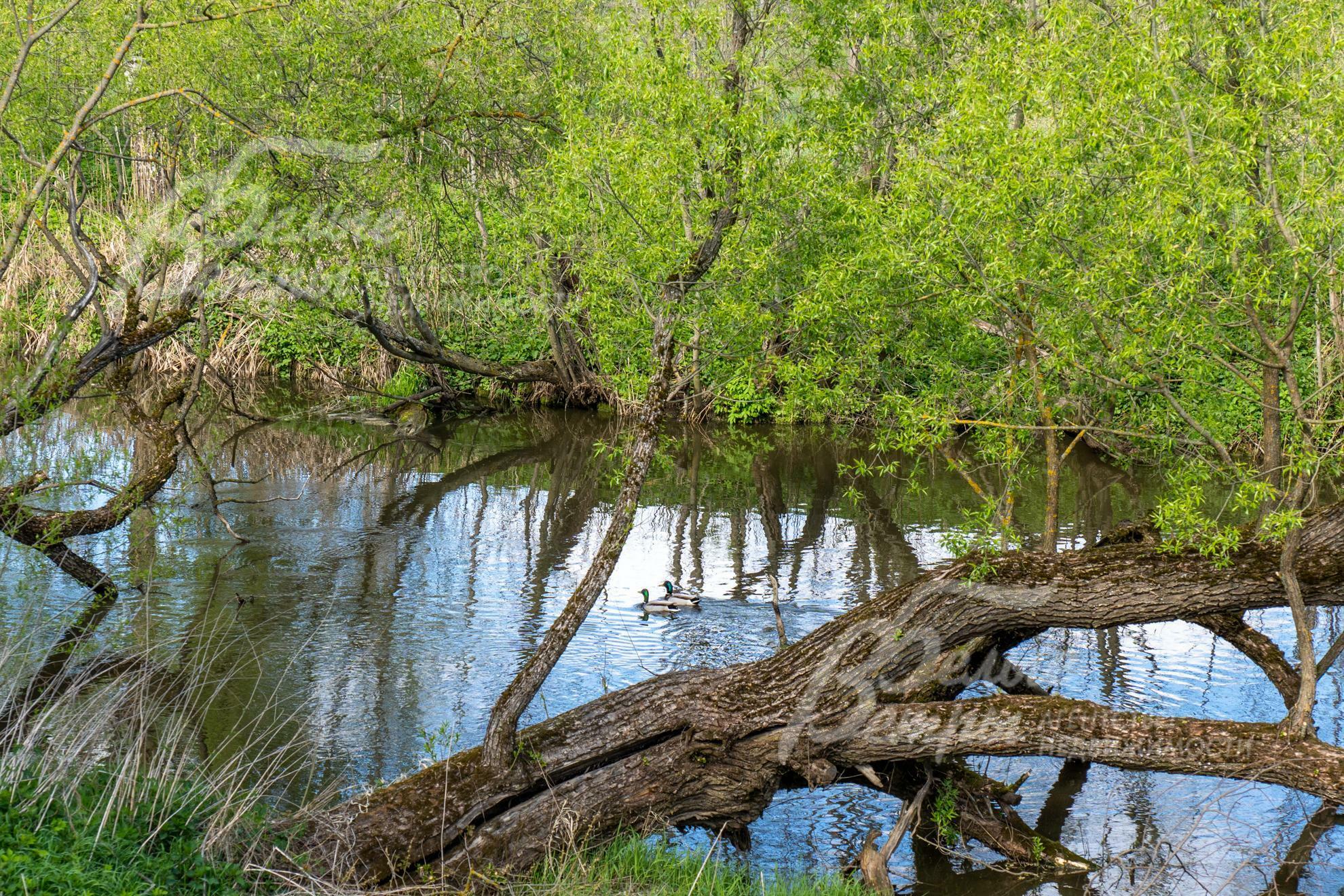 2-этажный коттедж 495 м² без отделки