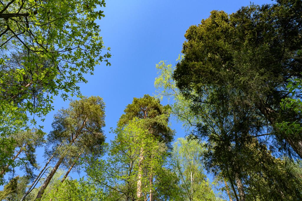 Участок 41.5 сот. в охраняемом поселке