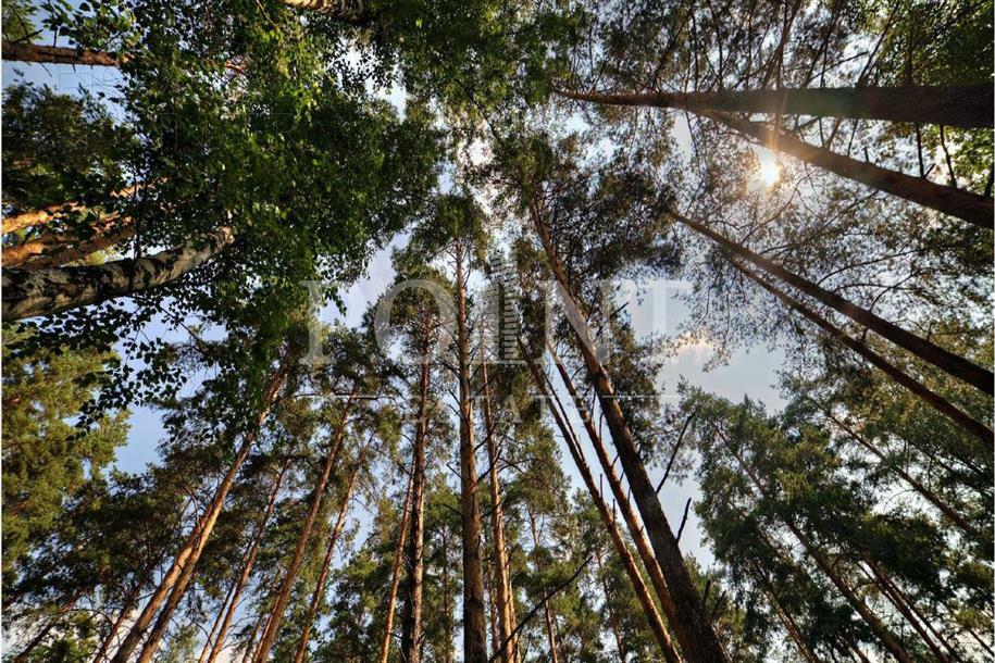 Участок 117 сот. в охраняемом поселке