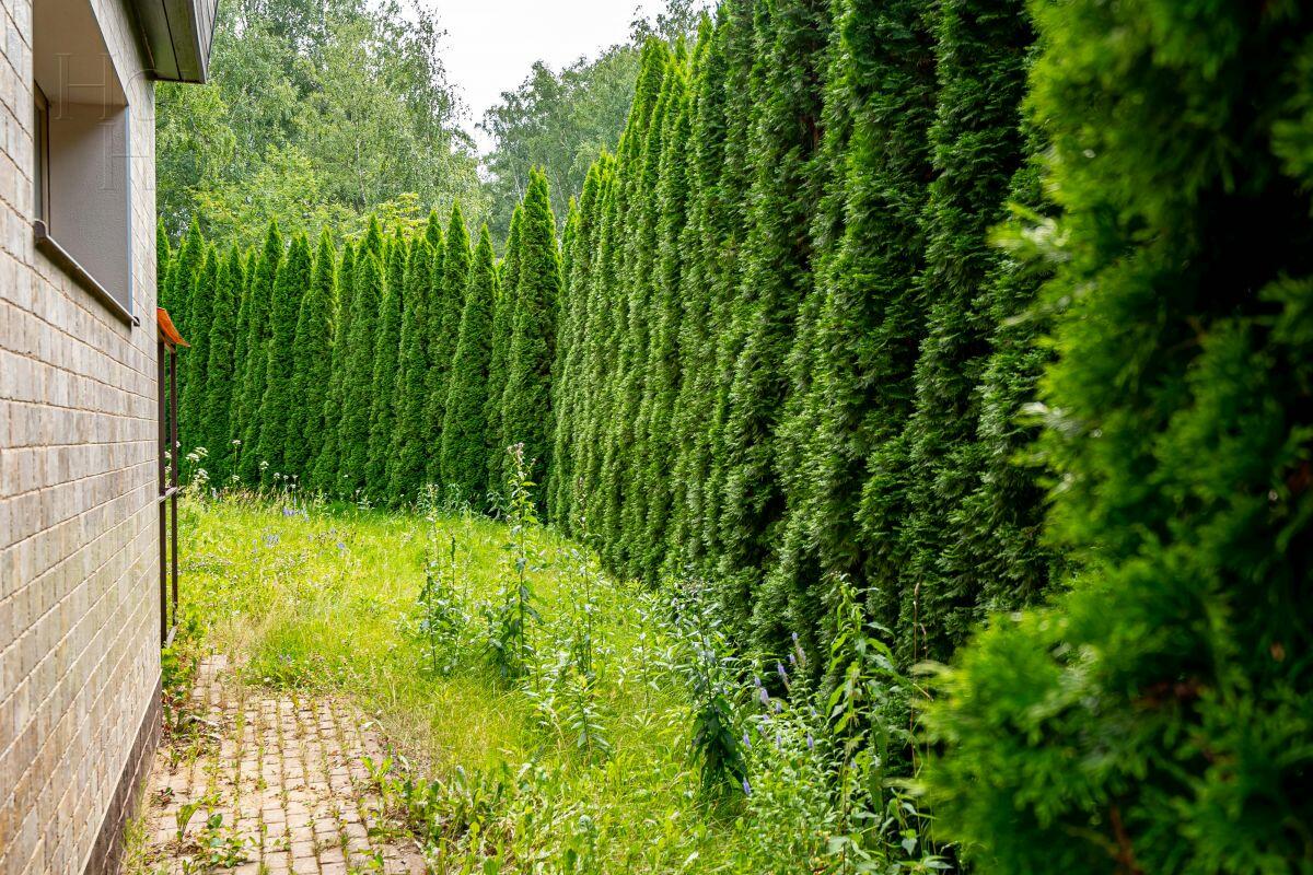 3-этажный таунхаус 323 м² без отделки