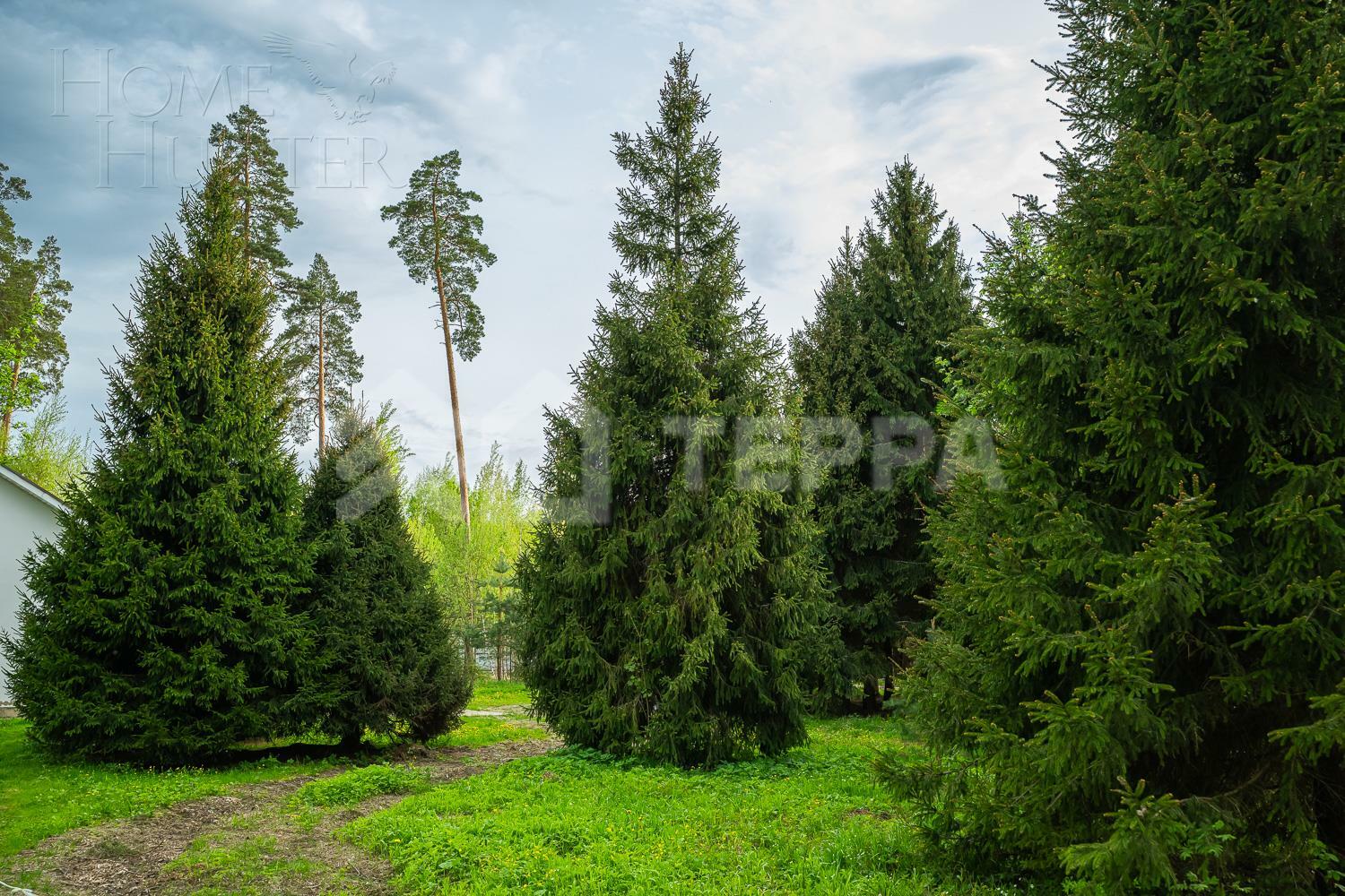 Участок 27 сот.