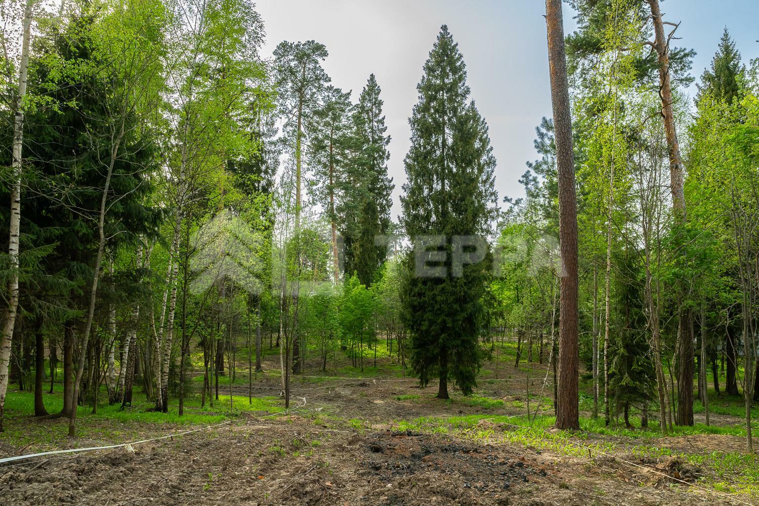 Участок 20 сот.