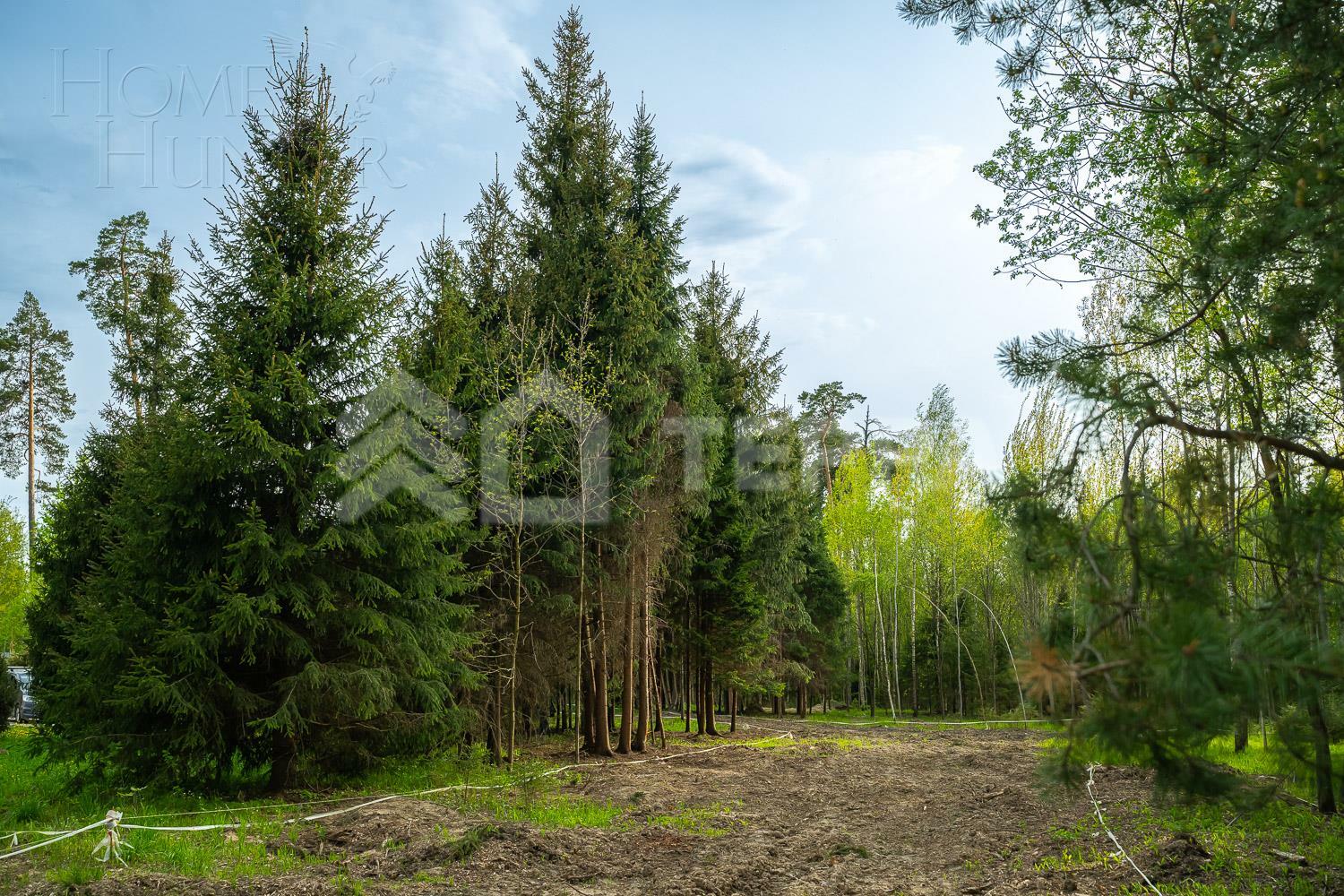 Участок 20 сот.