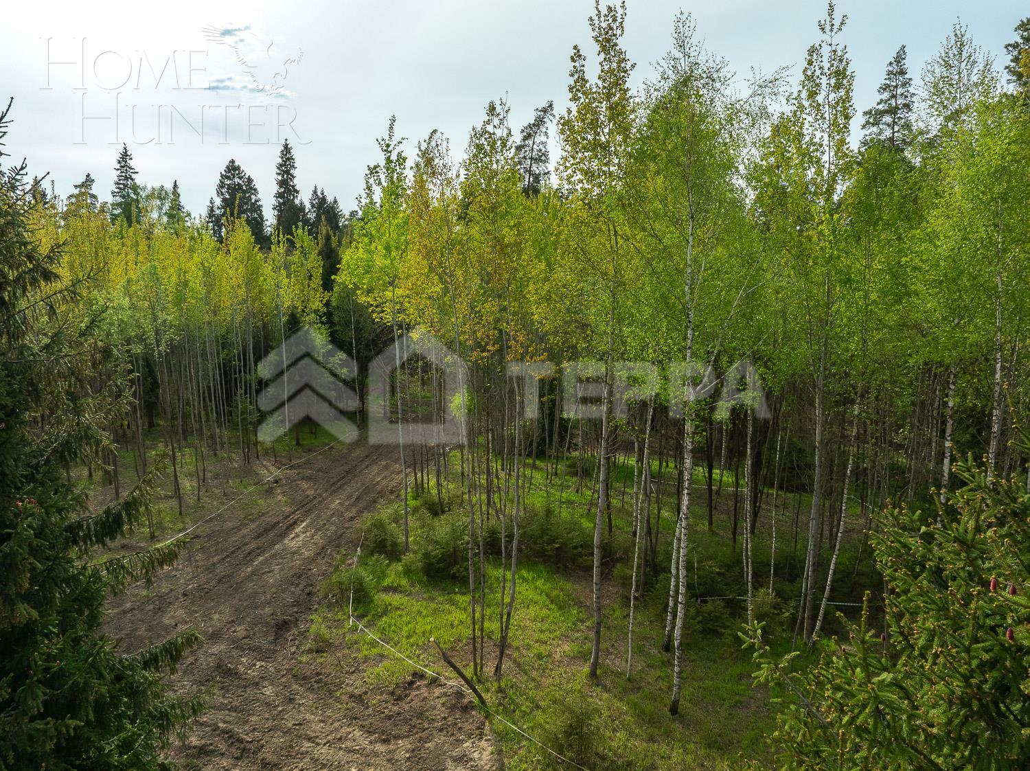 Участок 24 сот.