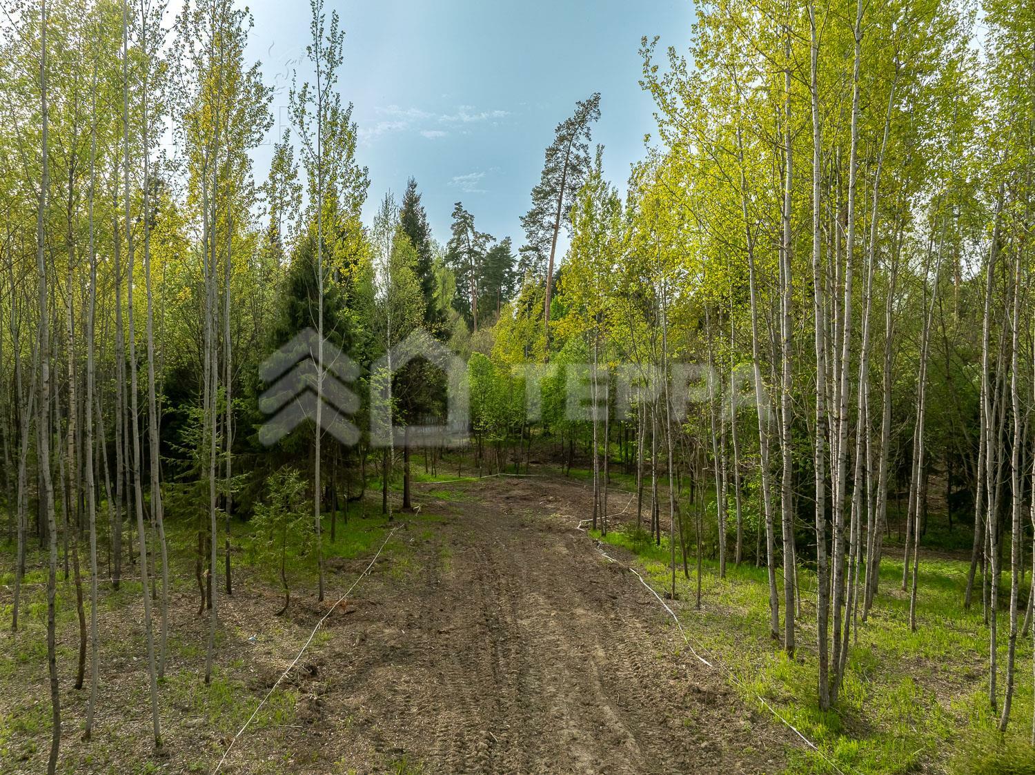 Участок 18 сот.