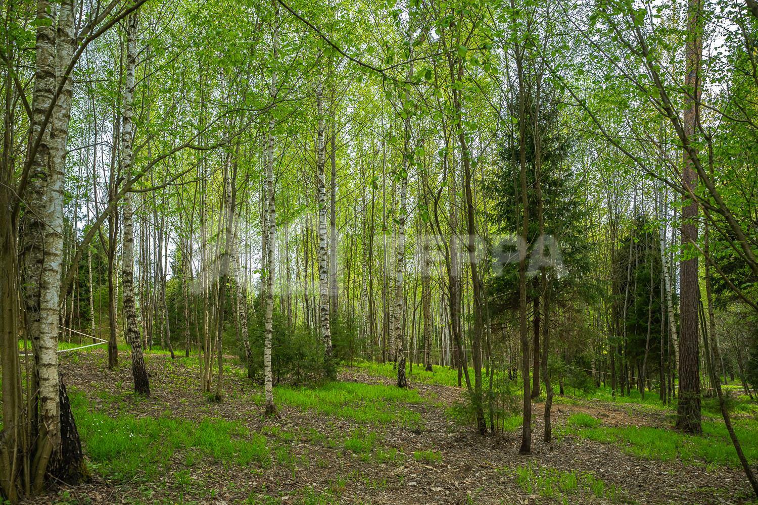 Участок 22 сот.