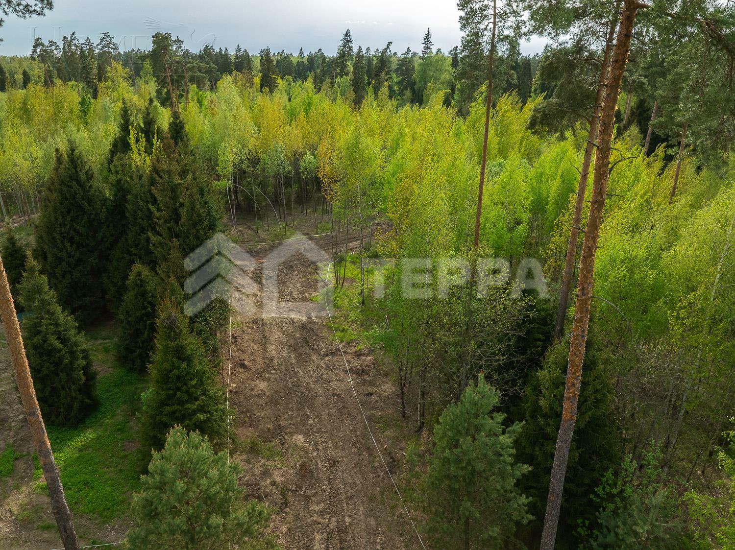 Участок 22 сот.