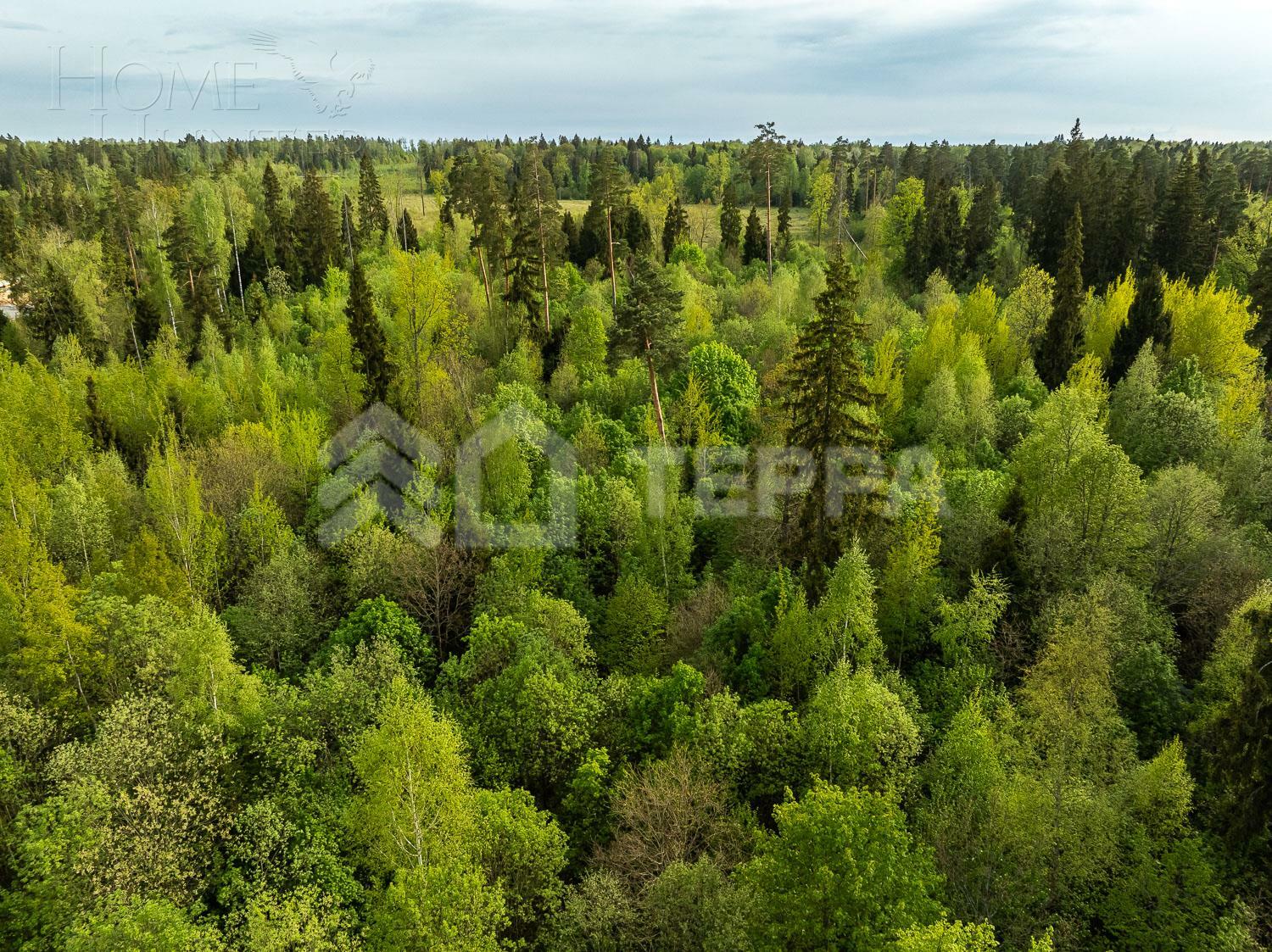 Участок 20 сот.