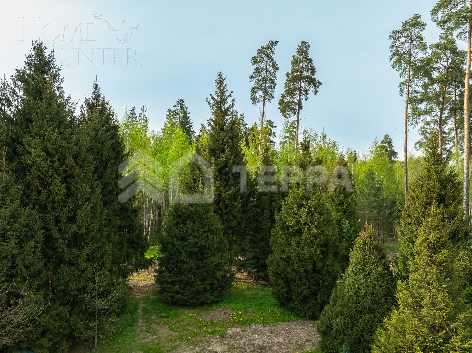 Участок 37 сот.