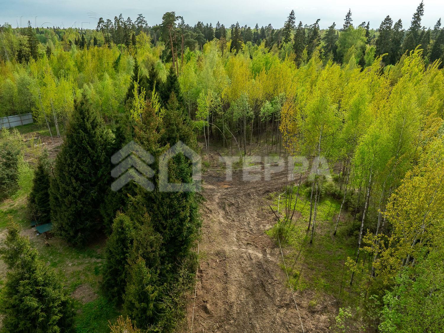 Участок 37 сот.