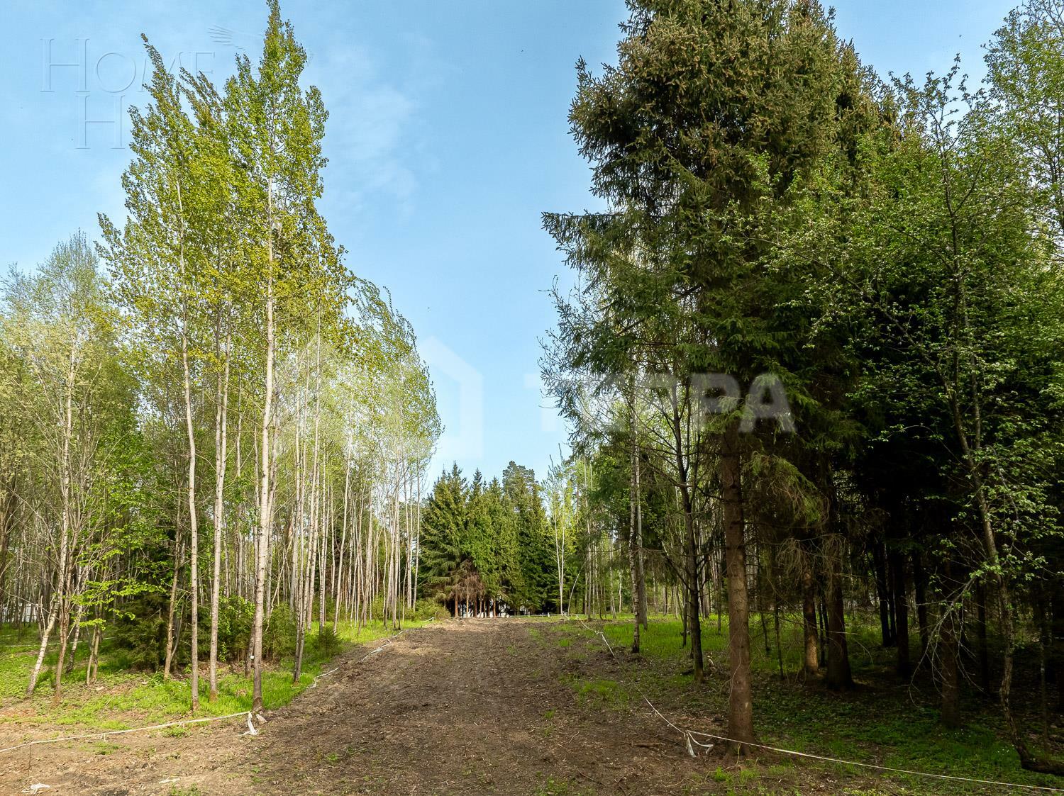 Участок 24 сот.