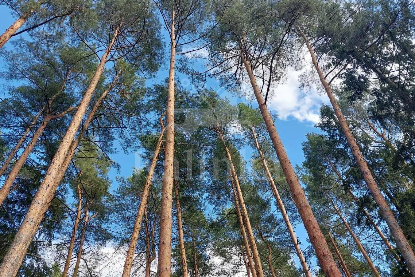 Участок 49 сот. в охраняемом поселке