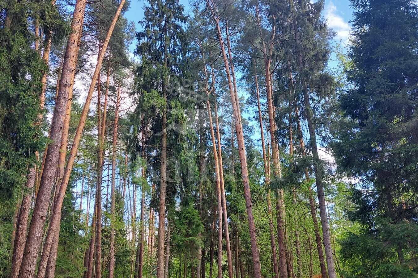 Участок 49 сот. в охраняемом поселке