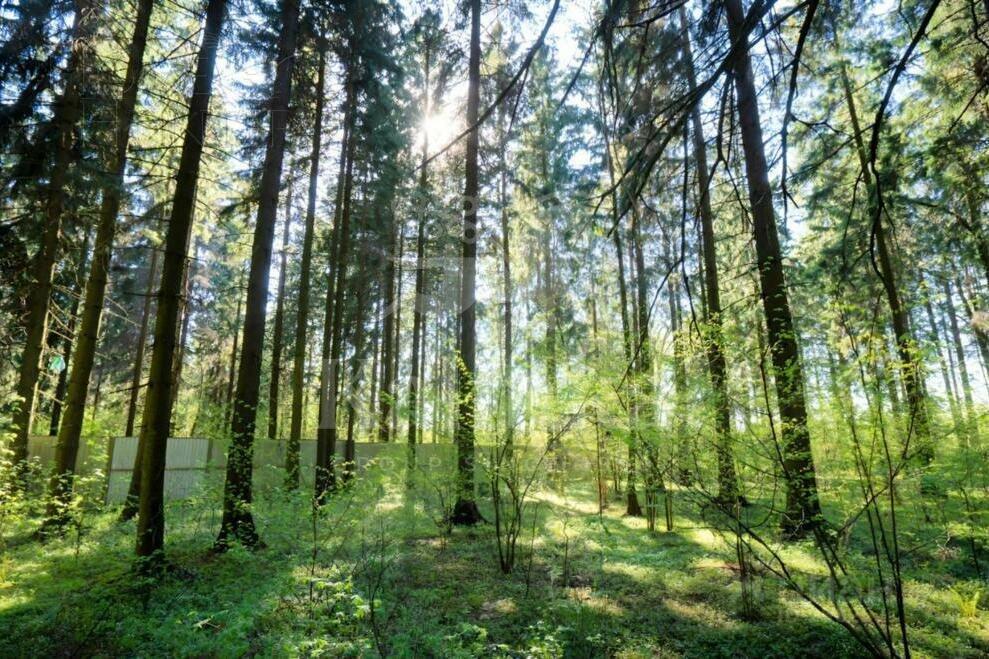 Участок 49.8 сот. в охраняемом поселке