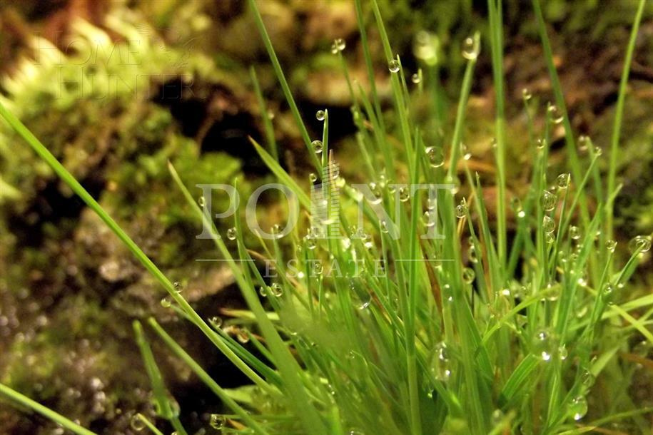 Участок 10 сот. в охраняемом поселке