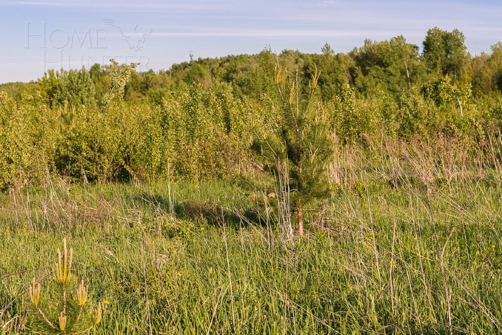 Участок 13 сот. в охраняемом поселке