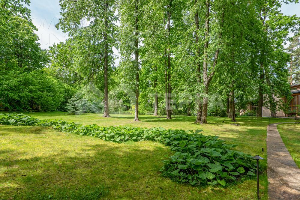 Участок 118 сот.