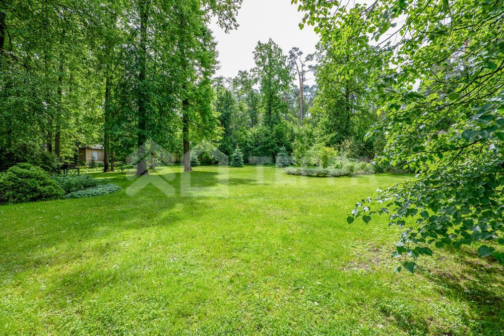 Участок 118 сот.