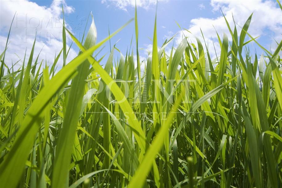 Участок 30 сот. в охраняемом поселке