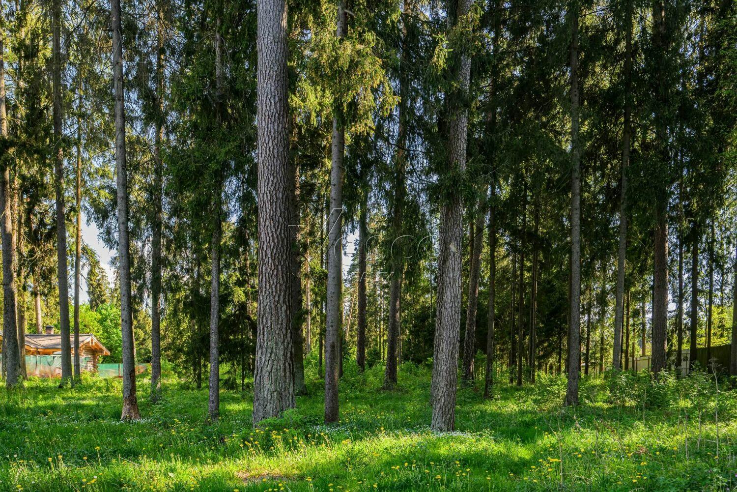 Участок 18.7 сот. в охраняемом поселке