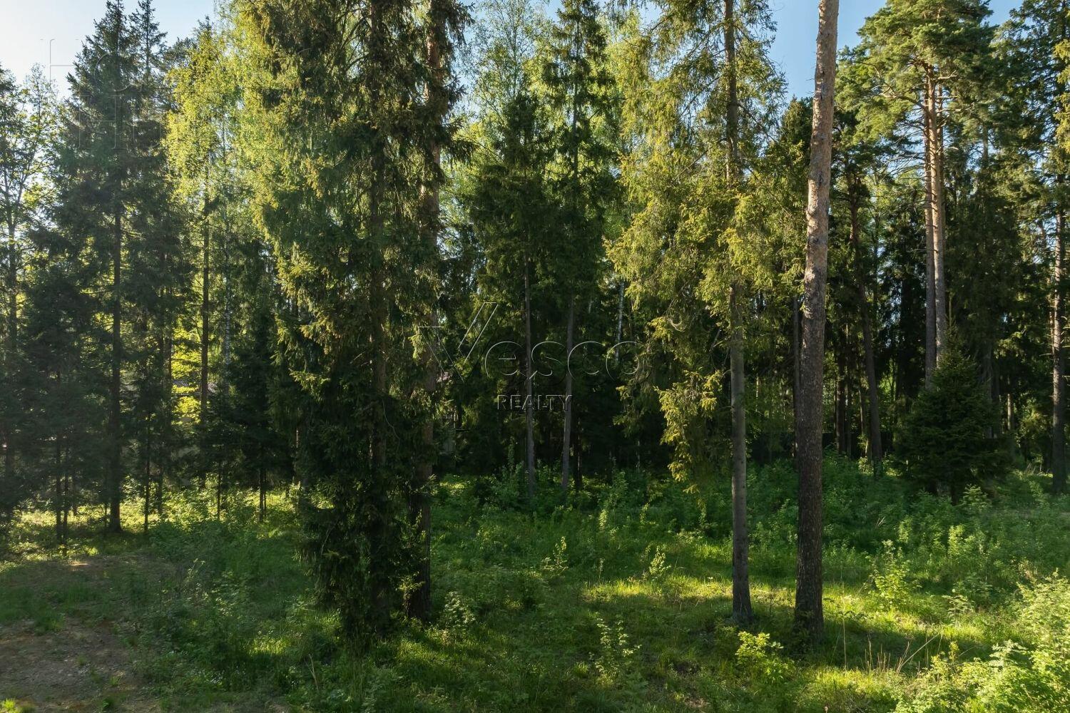 Участок 30.3 сот. в охраняемом поселке