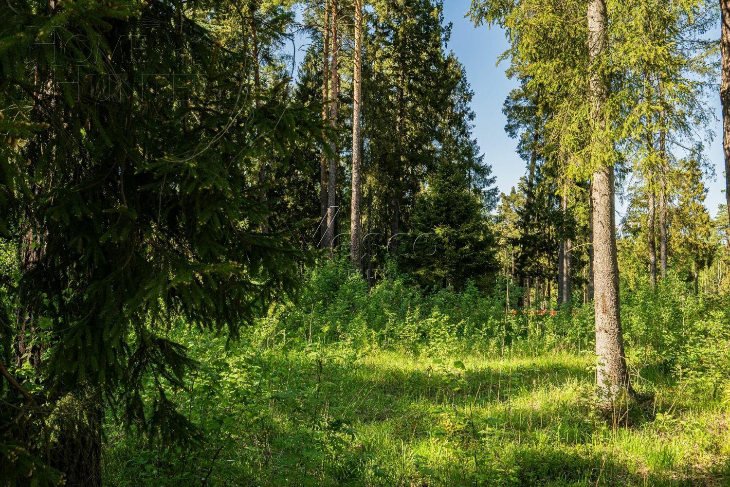 Участок 49 сот. в охраняемом поселке