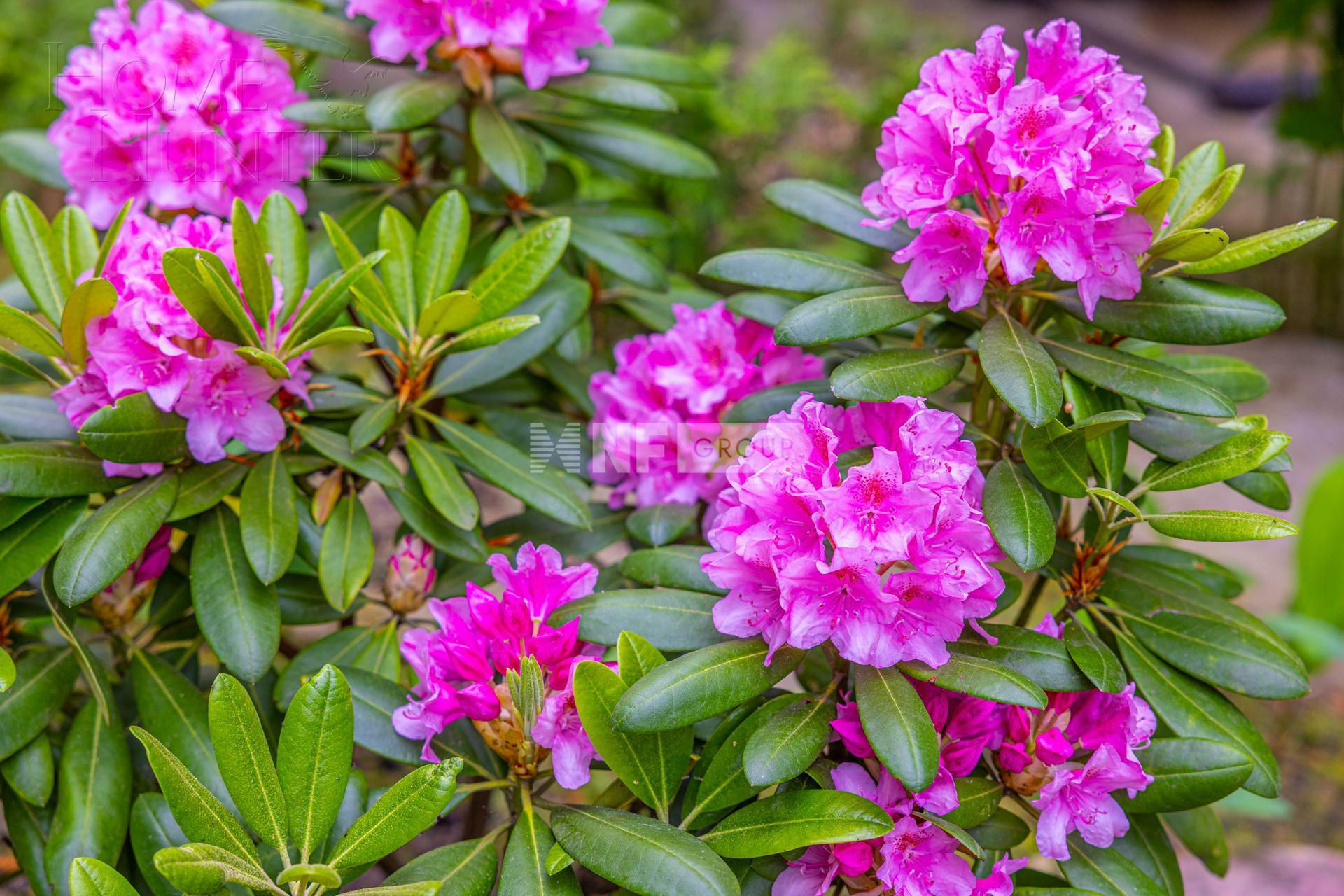 2-этажный коттедж 440 м² с отделкой