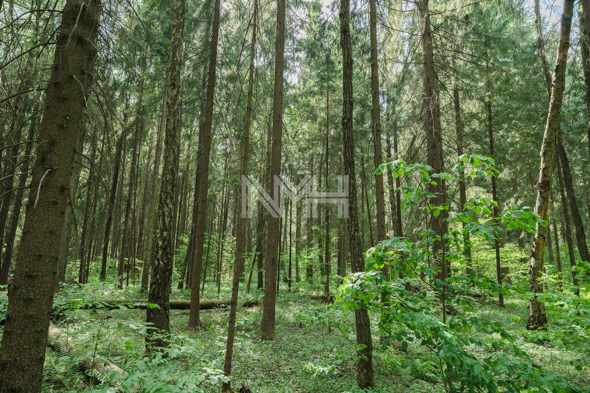 Участок 51.6 сот. в охраняемом поселке