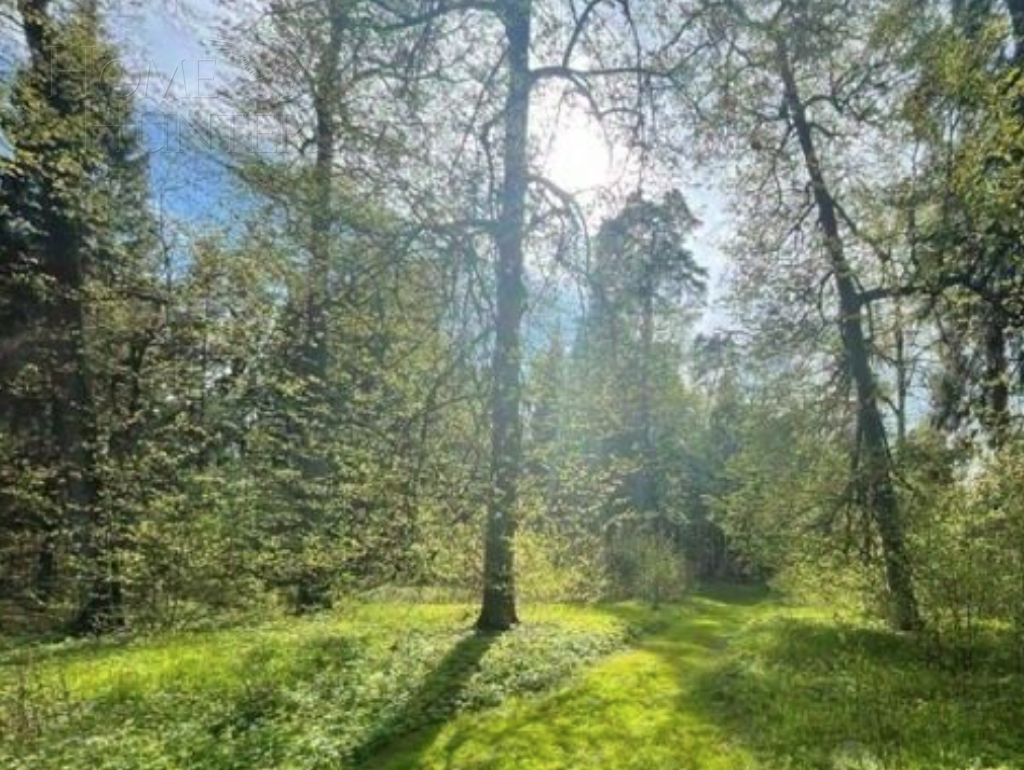 Участок 800 сот.