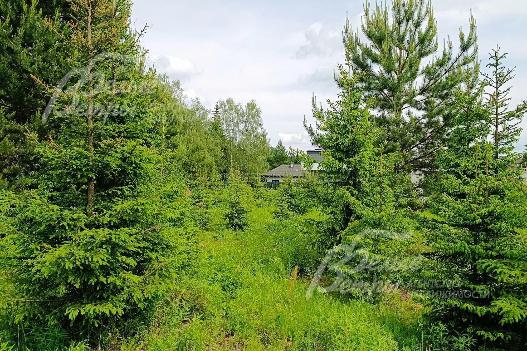 Участок 32.2 сот. в охраняемом поселке