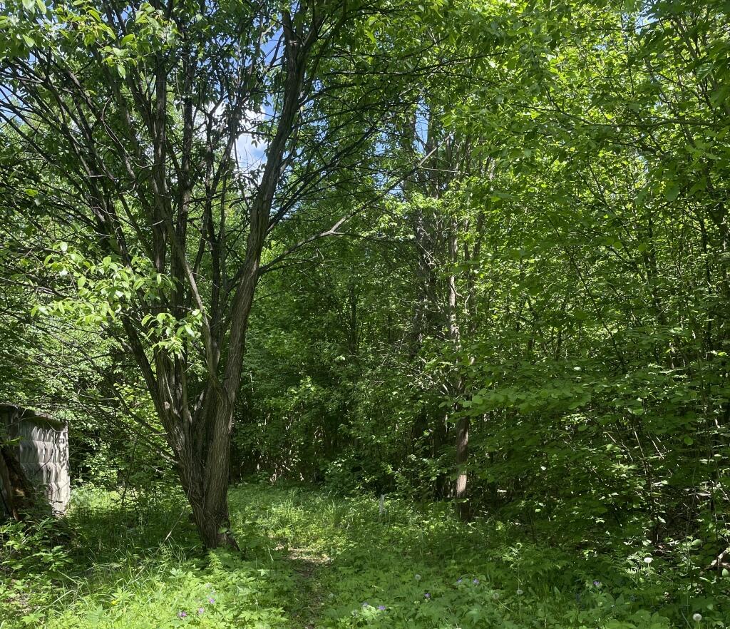 Участок 800 сот.