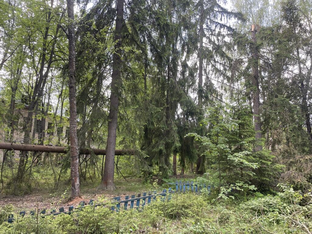 Участок 800 сот.