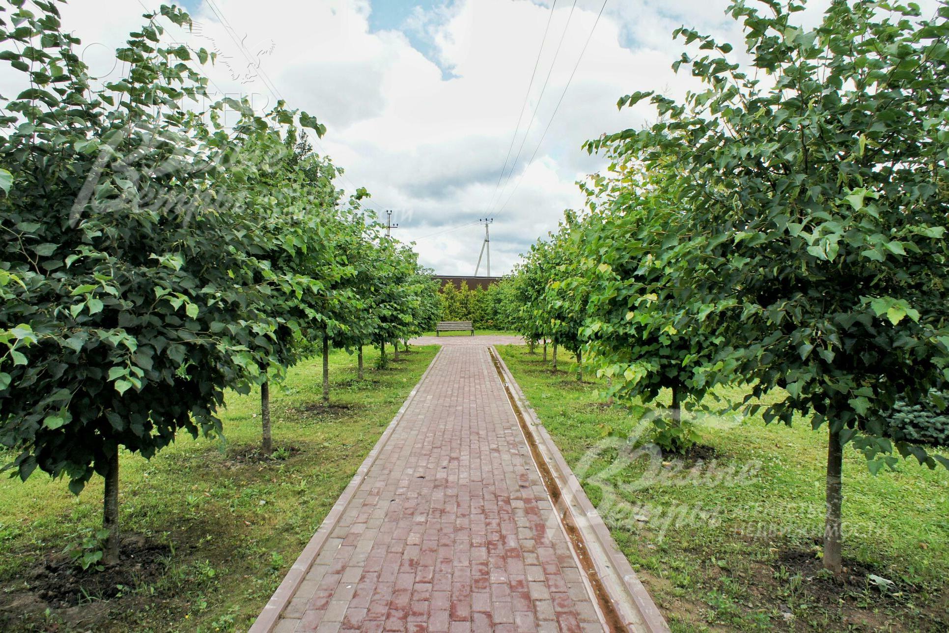 2-этажный коттедж 607 м² без отделки