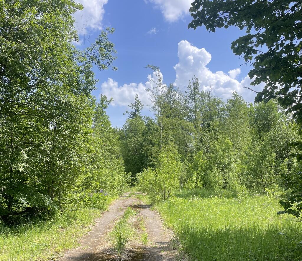 Участок 800 сот.