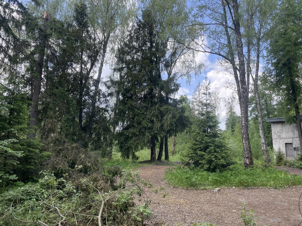 Участок 800 сот.