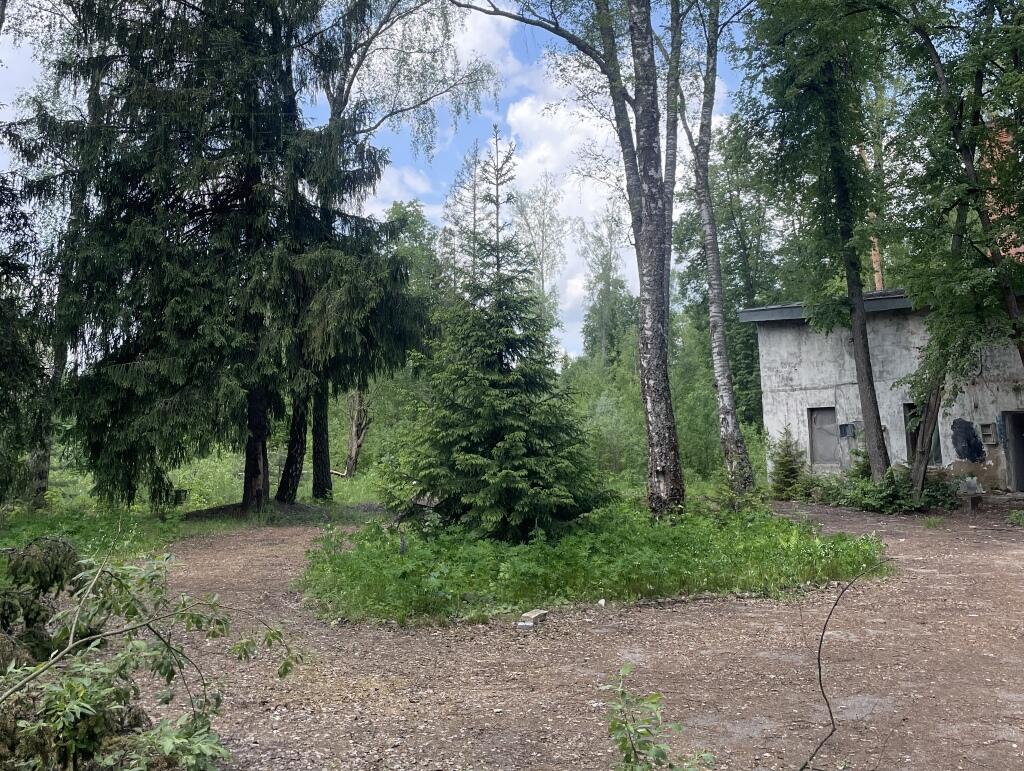 Участок 800 сот.