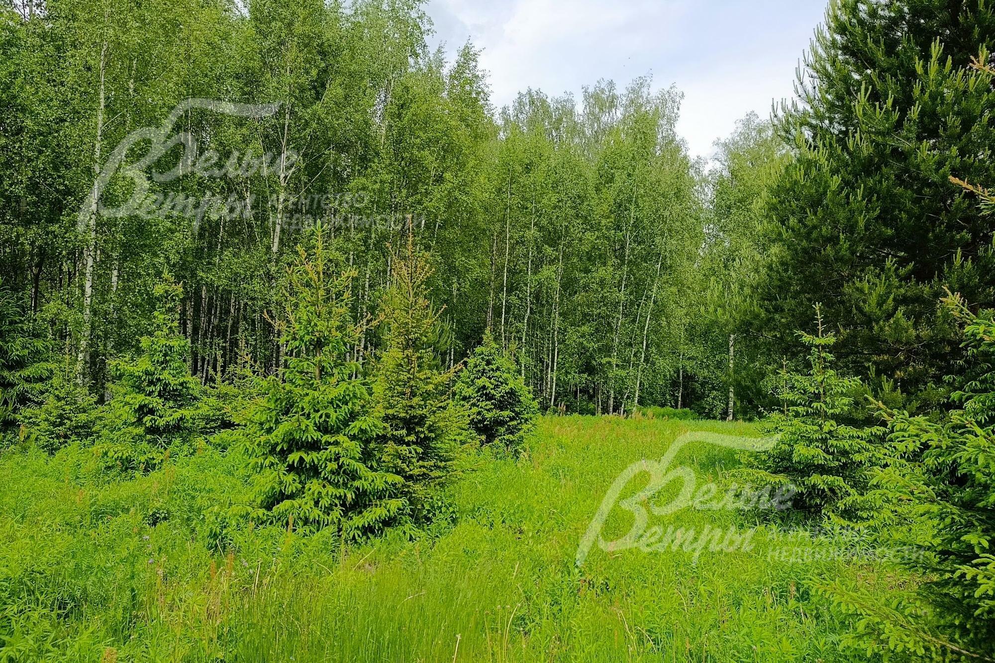 Участок 32.2 сот. в охраняемом поселке