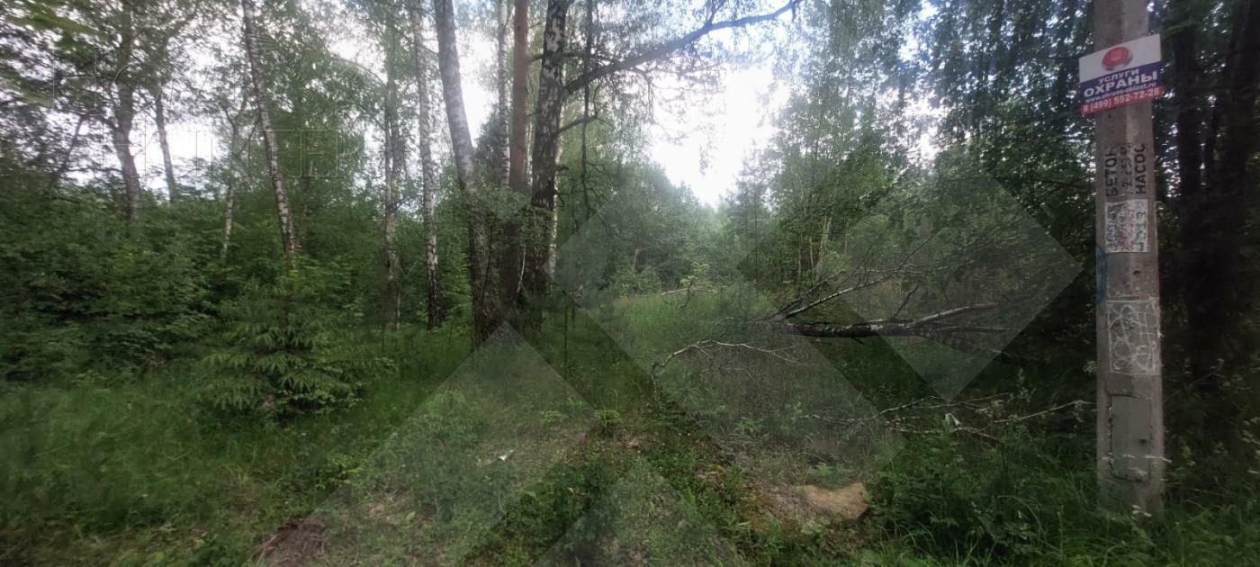 Участок 93 сот.