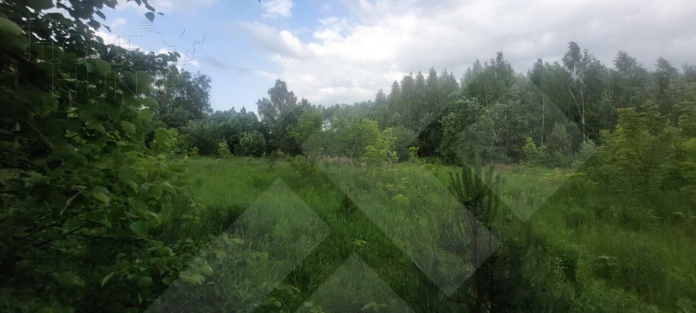 Участок 93 сот.